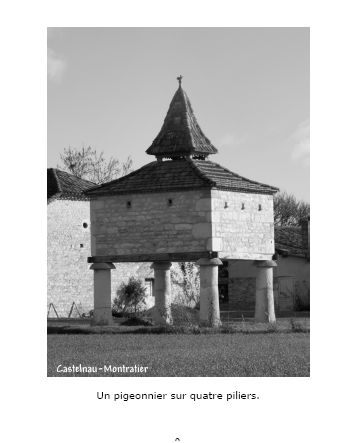  pigeonnier sur quatre piliers à Castelnau-Montratier