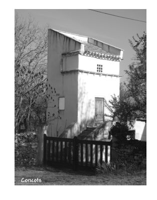 Un pigeonnier pied de Mulet  Concots